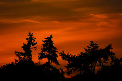 Low angle view of silhouette trees against orange sky