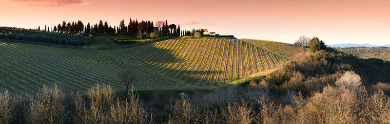 Panoramic view of field against sky during sunset