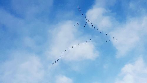 Low angle view of birds flying against sky