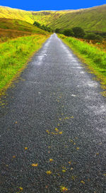 Surface level of road amidst land