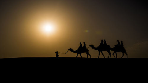 Silhouette people riding on camels at desert against sky during sunset