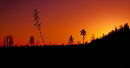 Silhouette trees on landscape against romantic sky at sunset