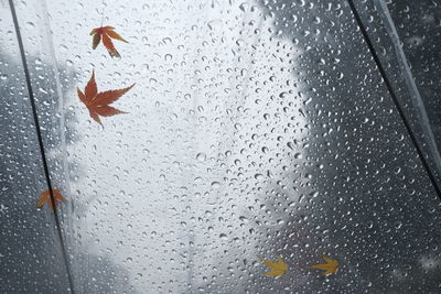 Full frame shot of wet glass