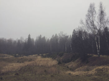 Trees on field against sky