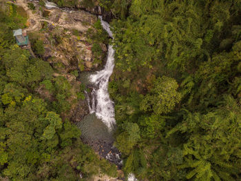 Scenic view of waterfall in forest