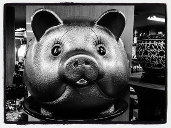 Close-up portrait of a cat