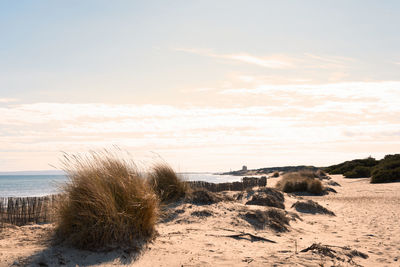 Scenic view of beach against sky