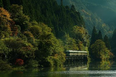 Limited express hida running on the takayama line in autumn