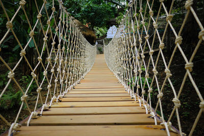 Narrow footbridge along trees