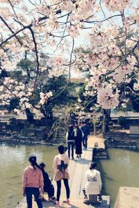 Group of people on cherry blossom by water