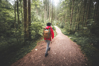 Rear view of woman walking in forest