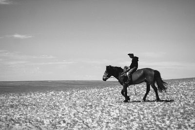 Side view of horse on the beach