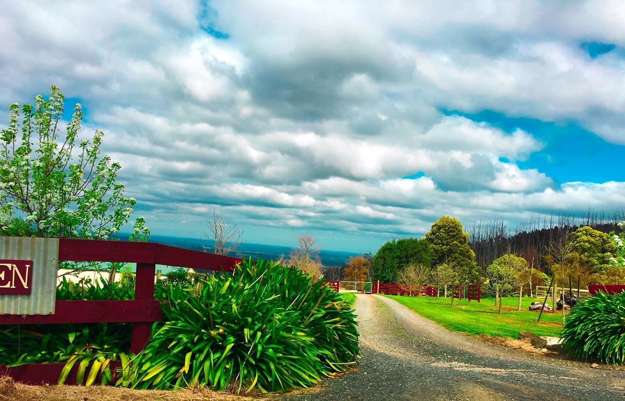 sky, cloud - sky, the way forward, cloudy, tree, cloud, road, plant, growth, nature, tranquility, tranquil scene, diminishing perspective, transportation, landscape, vanishing point, scenics, beauty in nature, overcast, grass