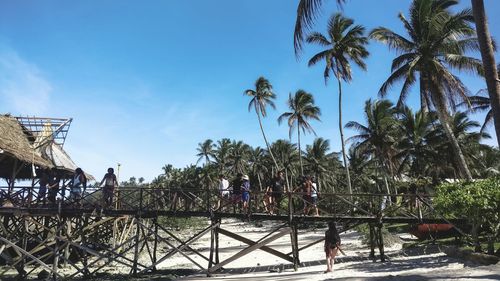 People by palm trees against sky