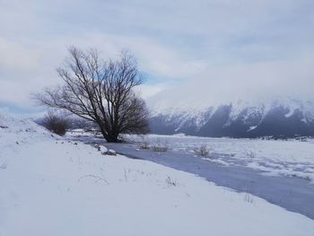 Bare trees on snow covered landscape against sky