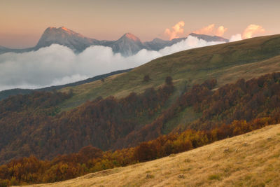 Scenic view of landscape against sky during sunset