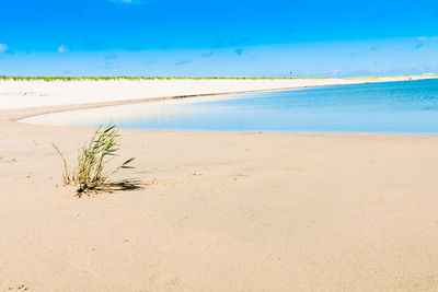 Scenic view of sea against blue sky