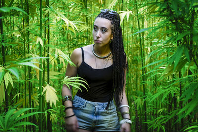 Young woman standing amidst cannabis plants