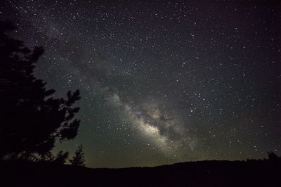 Low angle view of silhouette trees against sky at night