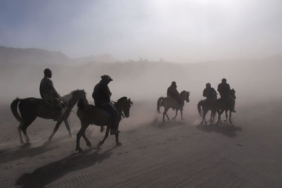 Silhouette people riding horses on desert against sky