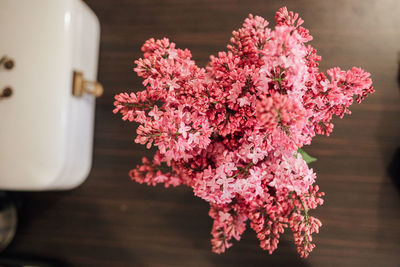 Close-up of pink flowering plant in vase