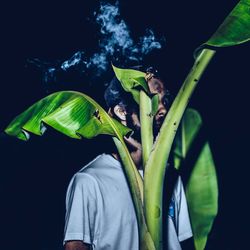 Man holding leaves while standing against black background