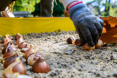 Cropped hand of woman holding snail