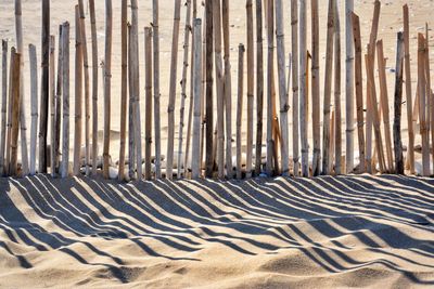 Row of wood on sandy beach