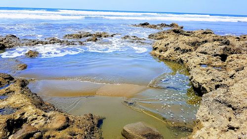 Scenic view of sea against sky