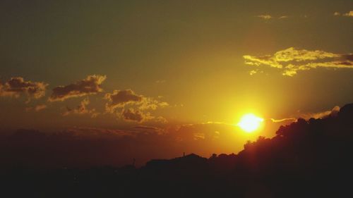 Silhouette of trees at sunset