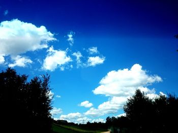 Low angle view of trees against blue sky