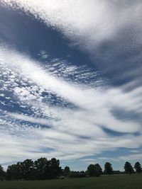 Low angle view of trees against sky