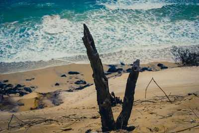 Scenic view of beach