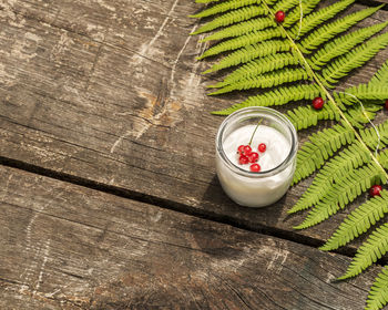 Vegan, homemade yogurt with red currant and fern leave on a wooden table