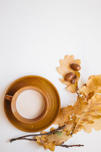 High angle view of rose on table against white background