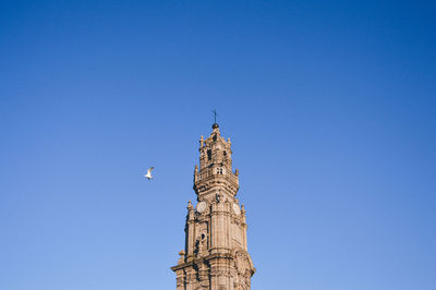 Low angle view of bird flying by clerigos church tower against sky