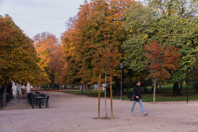 Man walking by trees during autumn