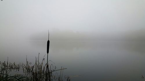 Scenic view of lake in foggy weather