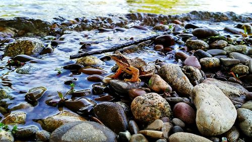 Close-up of pebbles on beach