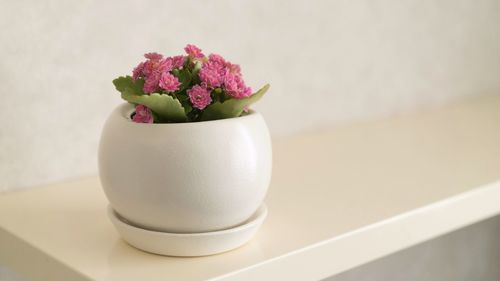 Close-up of potted flower vase on table