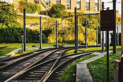 Railroad tracks amidst trees