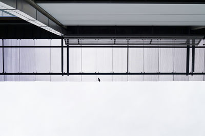 Directly below view of bird perching on roof against clear sky