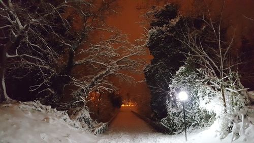 Close-up of illuminated snow during night