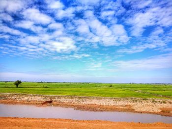 Scenic view of agricultural field against sky