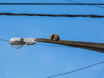 Low angle view of telephone pole against clear blue sky