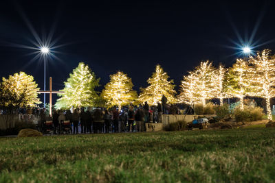 Illuminated christmas tree at night