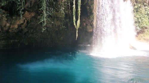 Scenic view of waterfall in forest