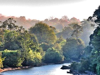 Scenic view of river