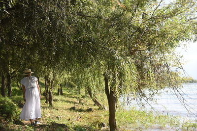 Scenic view of tree by lake