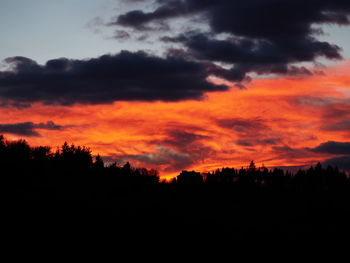 Silhouette trees against sky at sunset